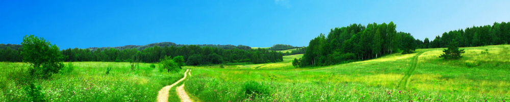 Mon chemin de vie professionnelle